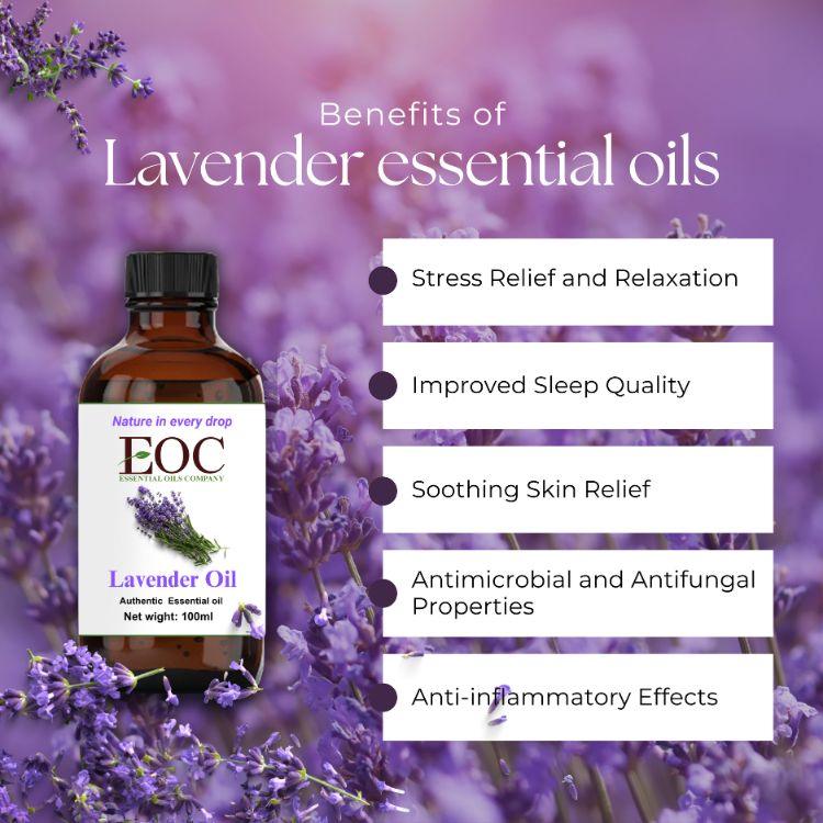 Lavender Essential OIl - R K Essential Oil